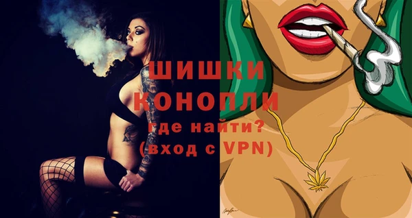 индика Надым