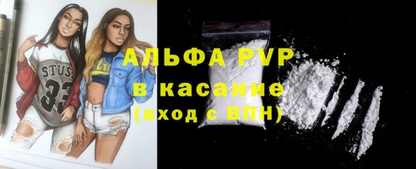 индика Надым