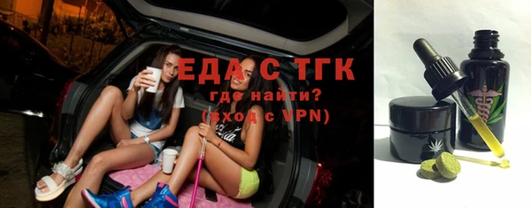 индика Надым