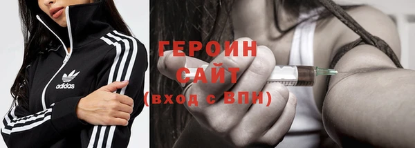 индика Надым