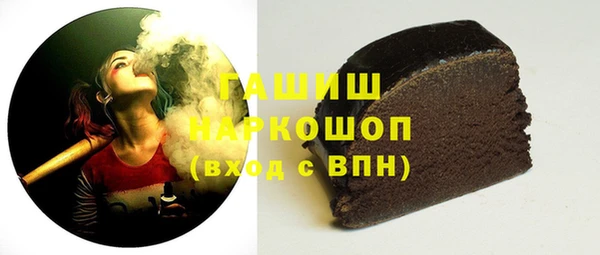 индика Надым