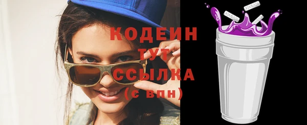 индика Надым