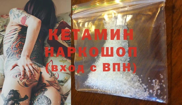 индика Надым
