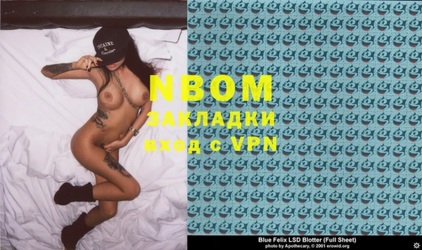 индика Надым