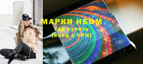 индика Надым