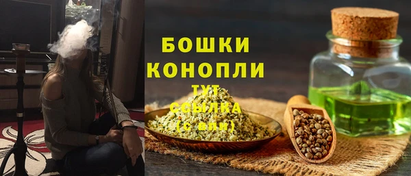 индика Надым