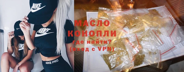 индика Надым