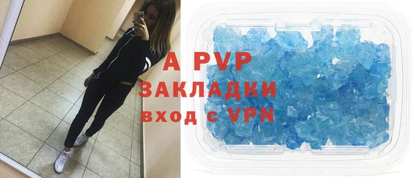 индика Надым