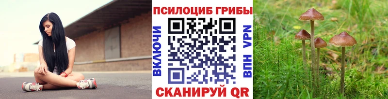 Купить закладки  Лесосибирск  Псилоцибиновые грибы MAGIC MUSHROOMS 